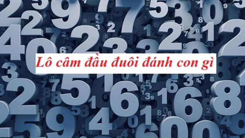 Tổ hợp 3 càng từ cầu số câm